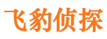 乃东市私家侦探